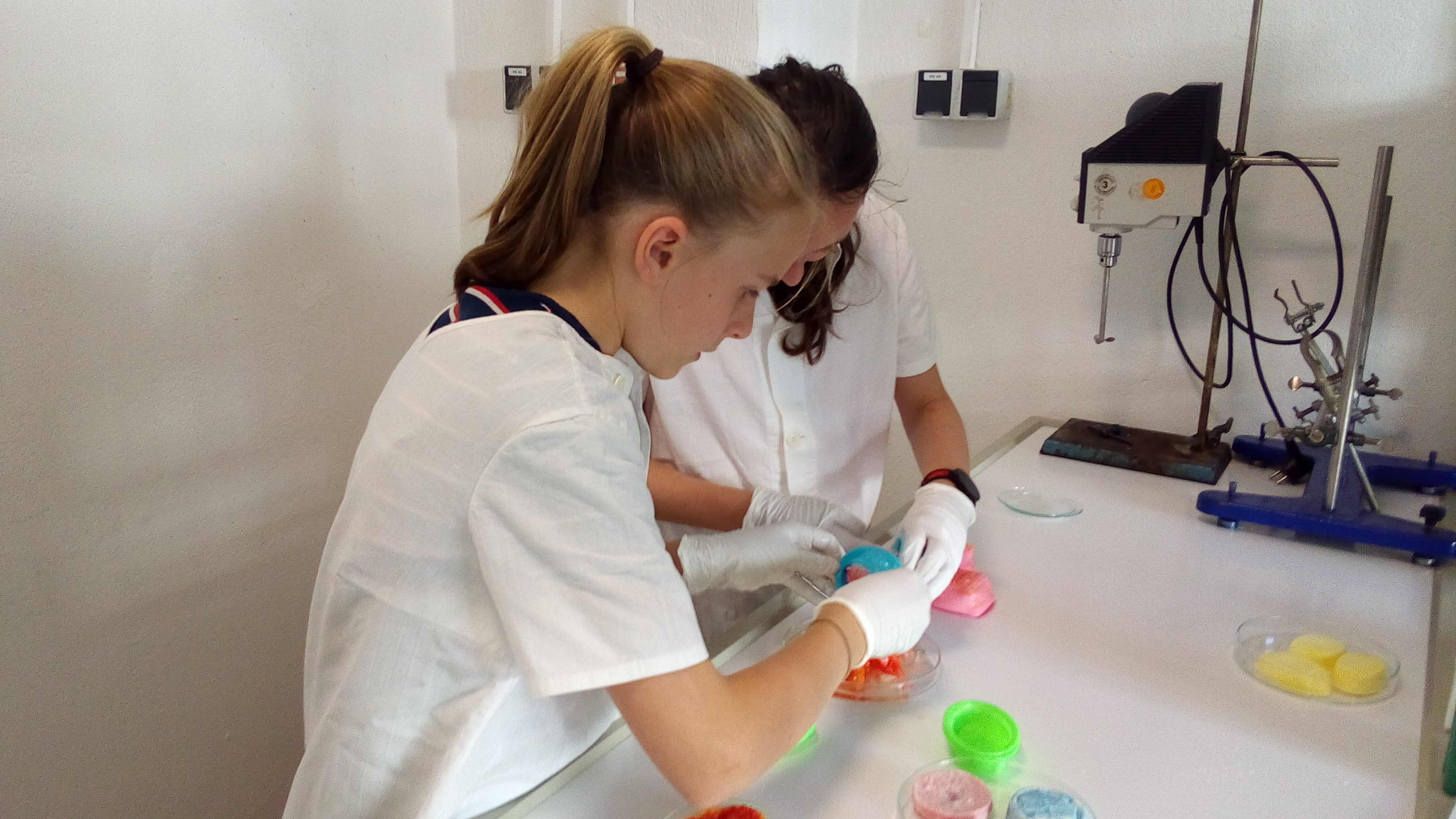Zwei Schülerinnen experimentieren mit verschiedenfarbigen Seifen