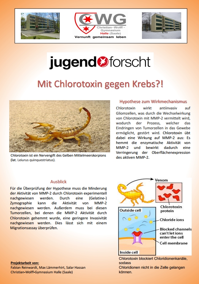 Poster für Jugend forscht: Mit Chlorotoxin gegen Krebs